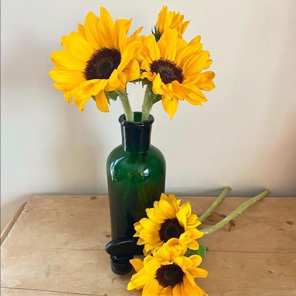 Amazing Pair Of Large Antique Apothecary Bottles - Picture 3 of 9